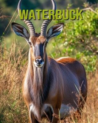 Waterbuck: Fun and Educational Book for Kids with Amazing Facts and Pictures - Cinta Horton - cover