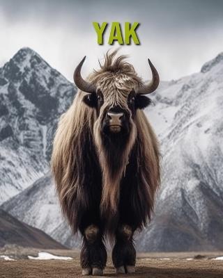 Yak: Fun and Educational Book for Kids with Amazing Facts and Pictures - Cinta Horton - cover