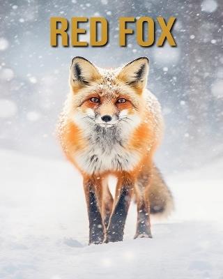 Red Fox: Amazing Photos and Fun Facts Book - Diane Donjuan - cover