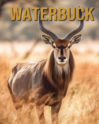 Waterbuck: Amazing Photos and Fun Facts Book - Diane Donjuan - cover