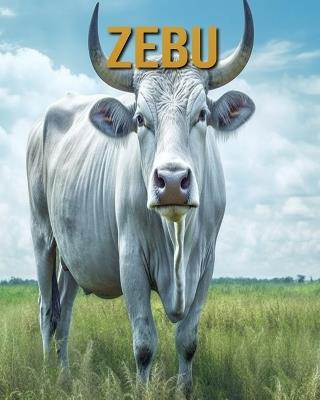 Zebu: Amazing Photos and Fun Facts Book - Diane Donjuan - cover