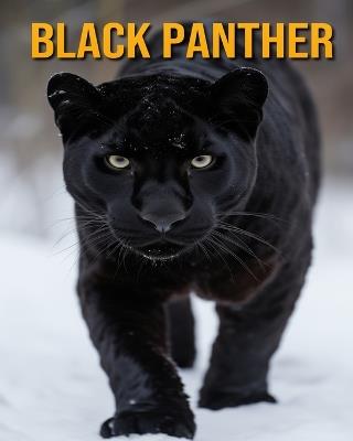 Black Panther: Fun Facts Book for Kids - Nicole Oberski - cover