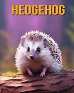 Hedgehog: Fun Facts Book for Kids