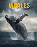 Whales: Fun Facts Book for Kids