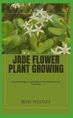 Jade Flower Plant Growing: Ultimate Strategy To Cultivating A Health & Blossom Jade Flower Plant