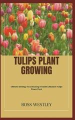 Tulips Plant Growing: Ultimate Strategy To Cultivating A Health & Blossom Tulips Flower Plant