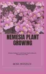 Nemesia Plant Growing: Ultimate Strategy To Cultivating A Health & Blossom Nemesia Flower Plant