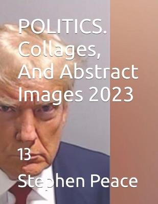 POLITICS. Collages, And Abstract Images 2023: 13 - Stephen Peace - cover