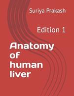 Anatomy of human liver: Edition 1