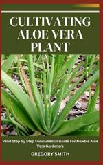 Cultivating Aloe Vera Plant: Valid Step By Step Fundamental Guide For Newbie Aloe Vera Gardeners