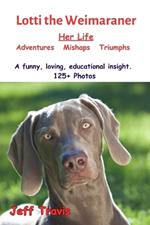 LOTTI THE WEIMARANER Her Life Adventures Mishaps Triumphs: Lotti's Life - A Funny, Loving, Educational Insight