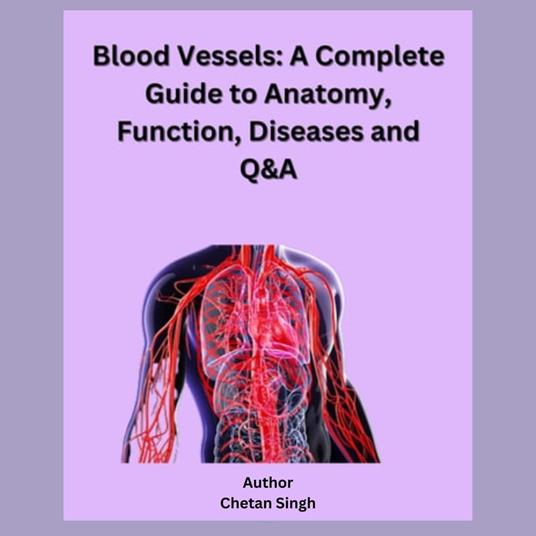 Blood Vessels: A Complete Guide to Anatomy, Function, Diseases and Q&A