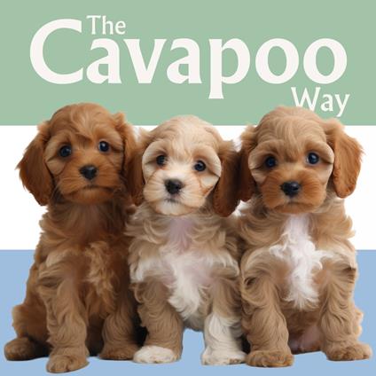 Cavapoo Way, The