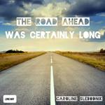 road ahead was certainly long, The