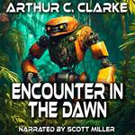 Encounter in the Dawn