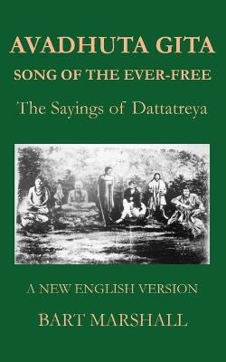 Avadhuta Gita: The Sayings of Dattatreya - cover