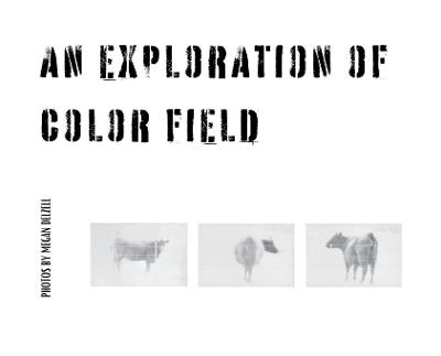 An Exploration In Color Field - Megan Delzell - cover
