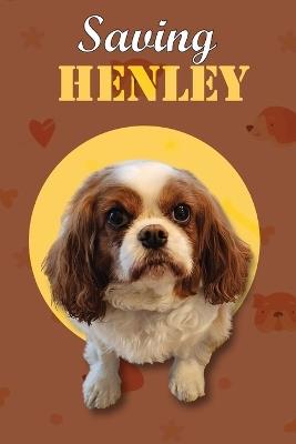 Saving Henley - D H Sanders - cover