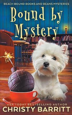 Bound by Mystery - Christy Barritt - cover