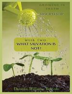 Growing in Truth Discipleship: Week 2: What Salvation Is Not