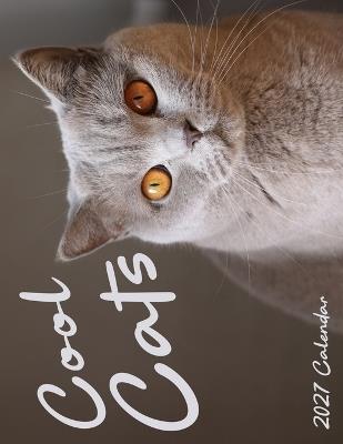 Cool Cats 2027 Calendar - B Patrick - cover