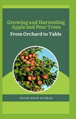 Growing and Harvesting Apple and Pear Trees: From Orchard to Table