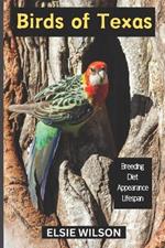 Birds of Texas: Guide to Exploring Birds in Texas