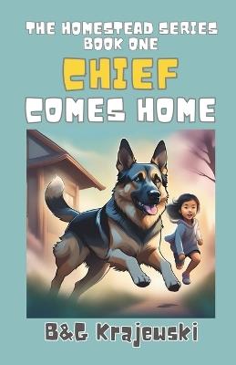 Chief Comes Home - B&g Krajewski - cover