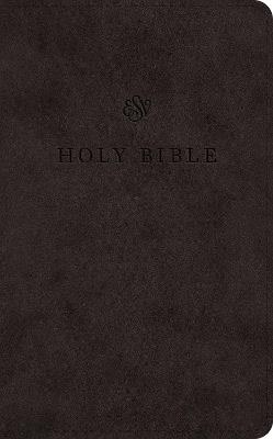 ESV Premium Church Bible - cover