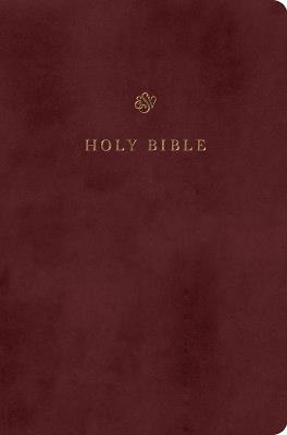 ESV Gift and Award Bible - cover