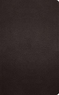 ESV Thinline Bible, Red Letter - cover