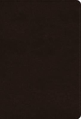 ESV Giant Print Thinline Bible, Red Letter - cover