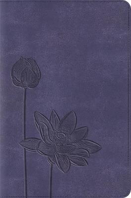 ESV Compact Bible - cover
