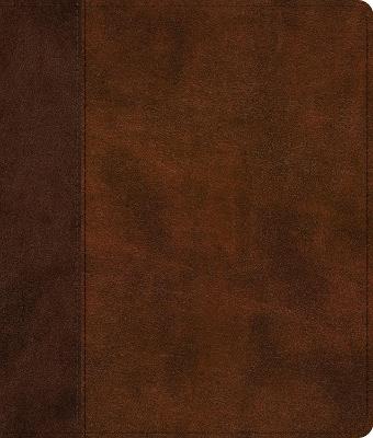 ESV Journaling Bible - cover
