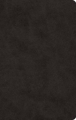 ESV Large Print Value Thinline Bible - cover
