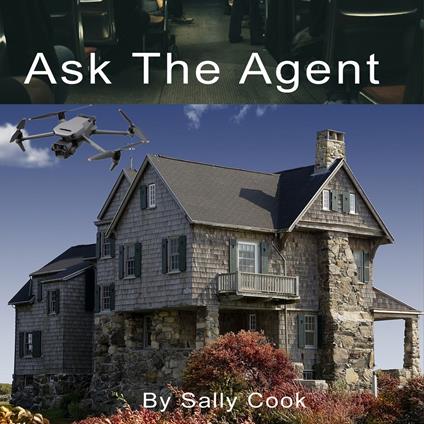 Ask The Agent