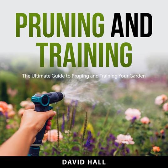 Pruning and Training