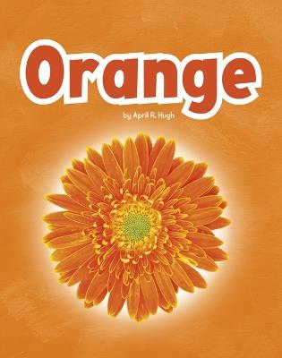 Orange - April R Hugh - cover