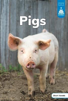 Pigs - Haley Williams - cover