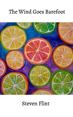 The Wind Goes Barefoot - Steven Flint - cover