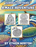 Curious Contours: A Maze Adventure