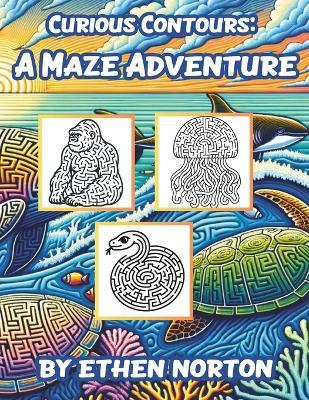 Curious Contours: A Maze Adventure - Ethen Norton - cover