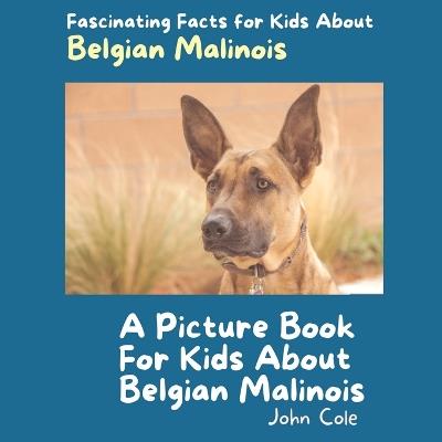 A Picture Book for Kids About Belgian Malinois: Fascinating Facts for Kids About Belgian Malinois - John Cole - cover