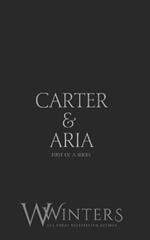 Carter & Aria #1: Black Mask Edition