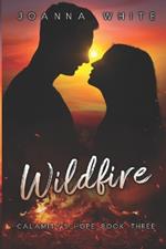 Wildfire: Calamity's Hope Book 3
