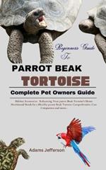 Parrot Beak Tortoise