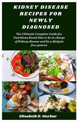 Kidney Disease Recipes for Newly Diagnosed: The Ultimate Complete Guide for Nutritious Renal Diet to be in charge of Kidney disease and be a dialysis free patient - Elizabeth D Marlow - cover