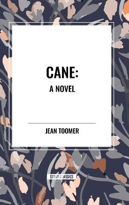 Cane a Novel - Jean Toomer - cover