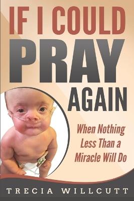 If I Could Pray Again: When Nothing Less Than a Miracle Will Do - Trecia Willcutt - cover
