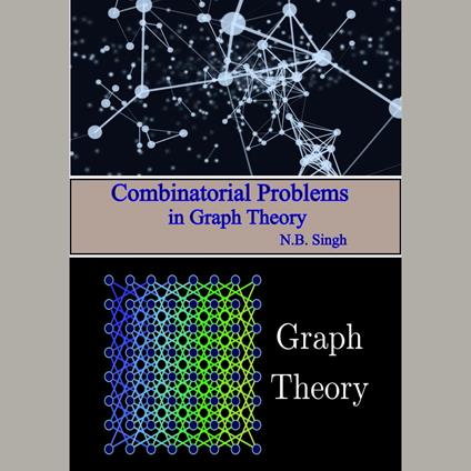 Combinatorial Problems in Graph Theory